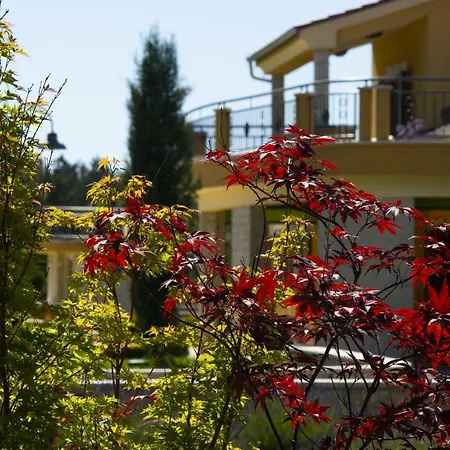 Montepin Villa